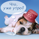 Собака